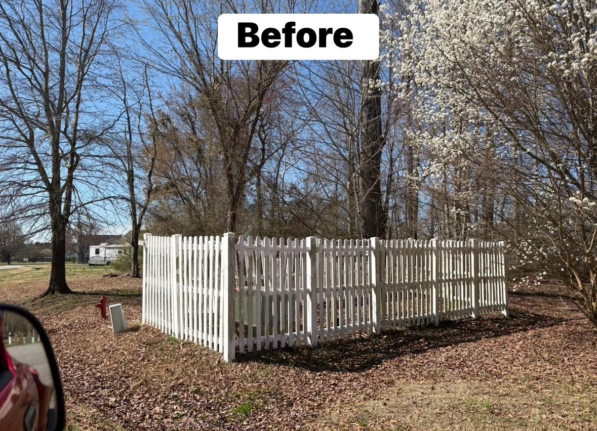 Before Project